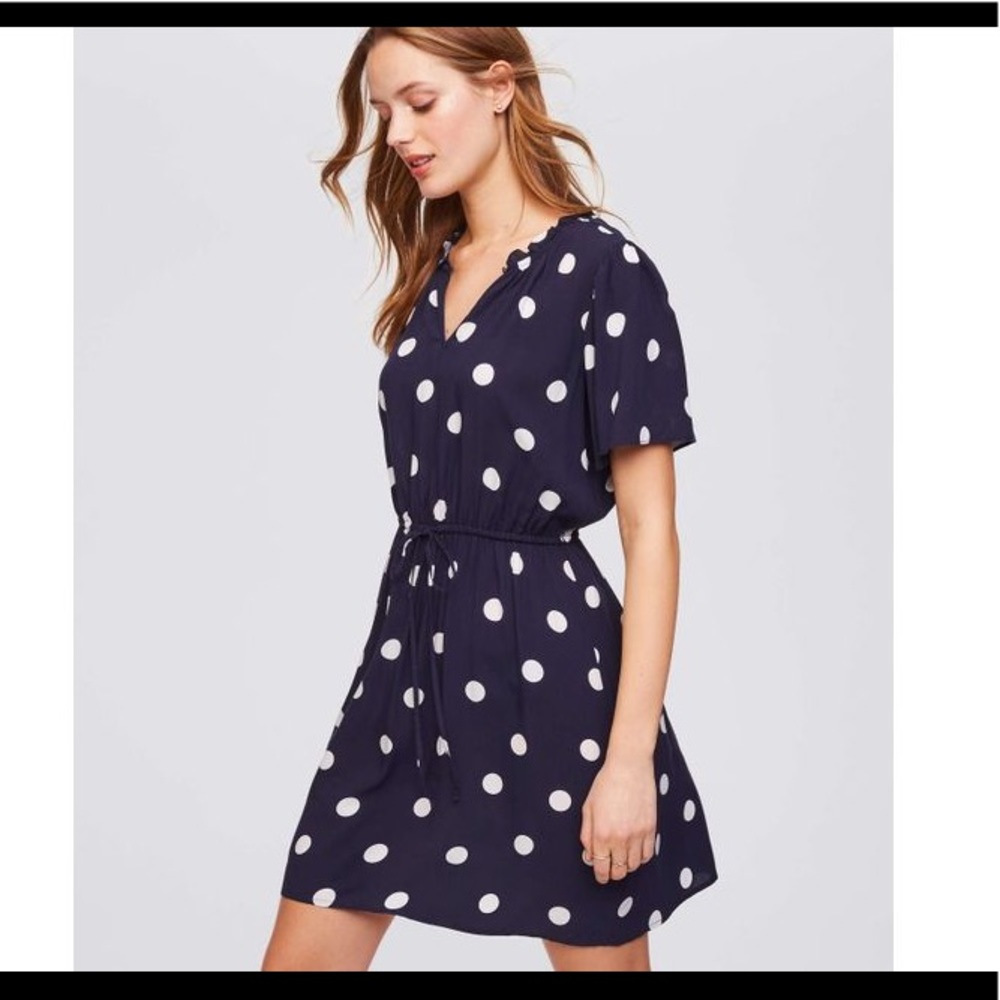 Loft Petites Polka dot dress sz small, never worn